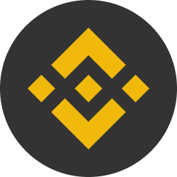BSC Icon
